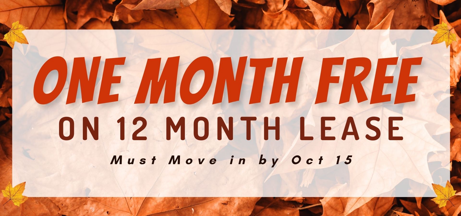 One month free on 12 month lease. Must move in by Oct 15.